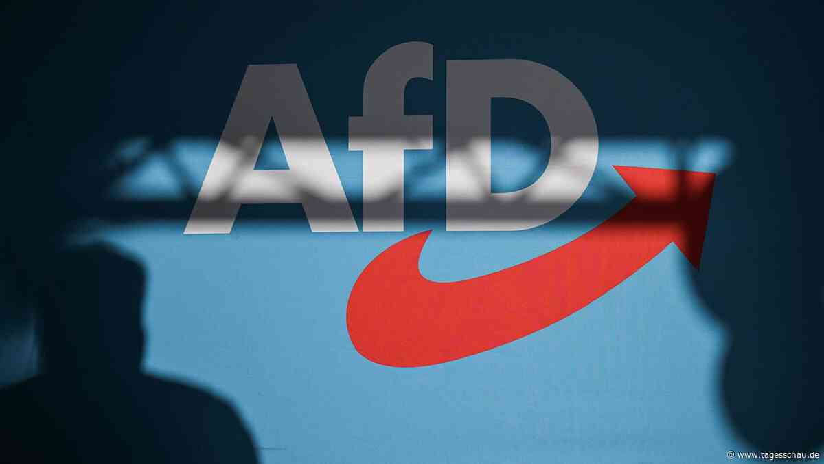 Interview: Wie der Projektleiter das AfD-Gutachten bewertet