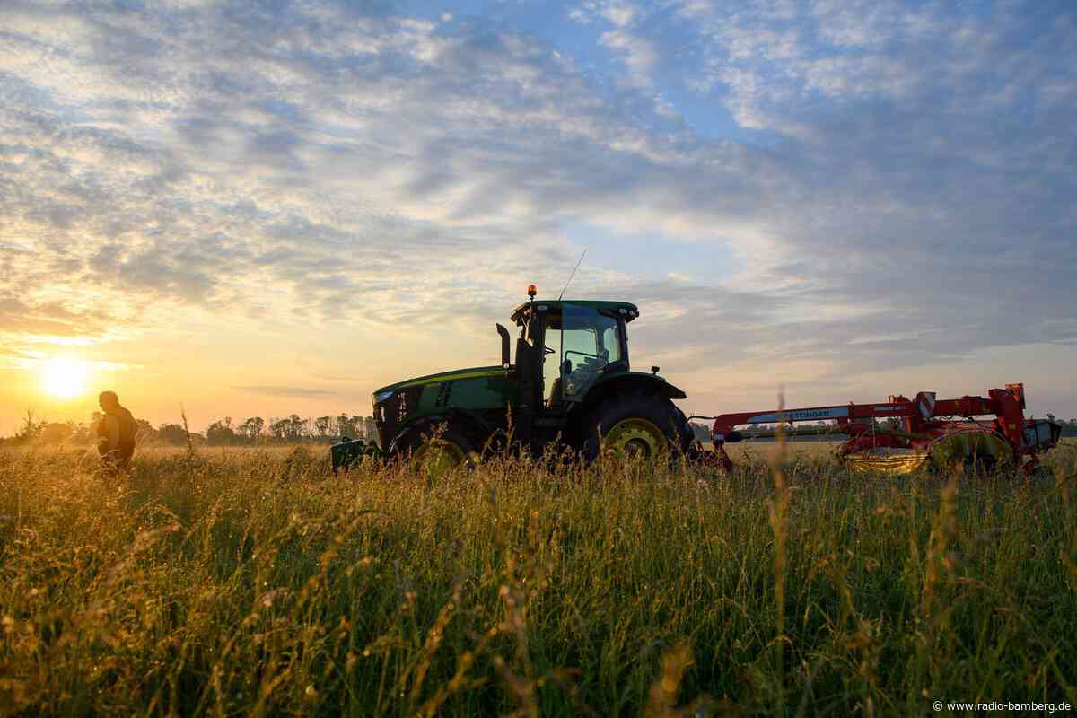 Traktor-Unfall nach Insekten-Schreck – Mann schwer verletzt