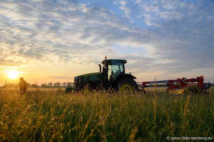 Traktor-Unfall nach Insekten-Schreck – Mann schwer verletzt