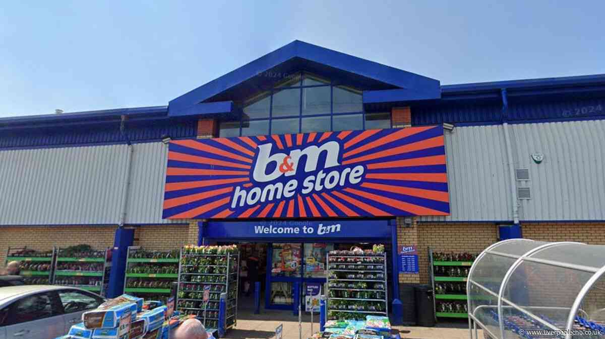 Bugs won't come through open windows in summer with £3 B&M 'curtain' set