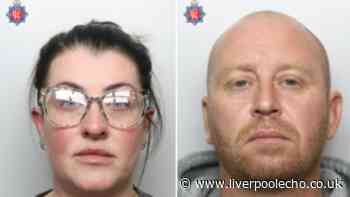 They appeared a normal middle-aged couple but their WhatsApp chats revealed depraved 'sexual appetite'
