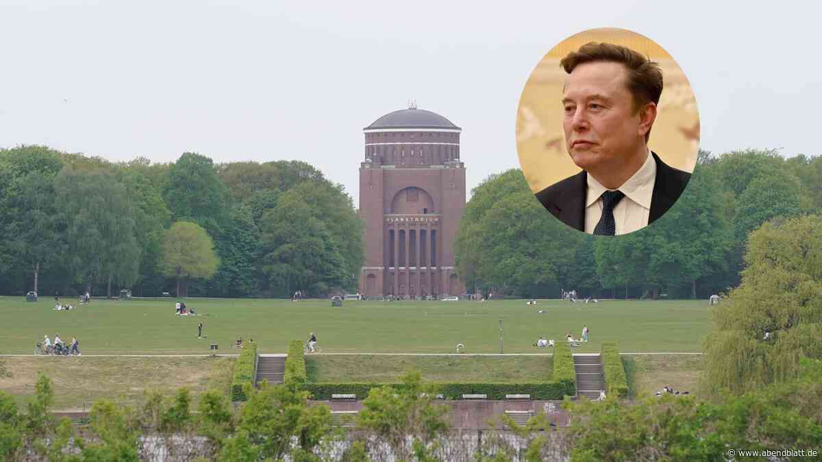 Elon Musk stellt Film über Gruppenvergewaltigung in Hamburg auf X online