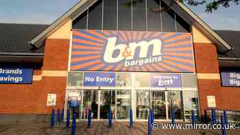 Bugs won't enter your home all summer with B&M's £3 window and £5 door set