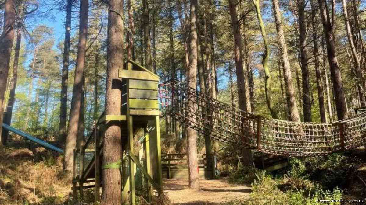 The North East farm that's a road trip must with 10/10 breakfasts and forest adventure playground