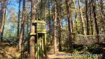 The North East farm that's a road trip must with 10/10 breakfasts and forest adventure playground