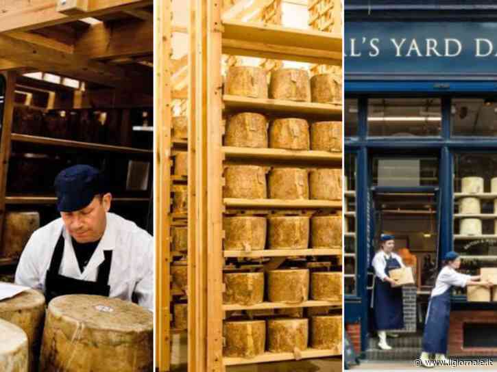 Il grande furto del formaggio: ventidue tonnellate di cheddar evaporate con una mail