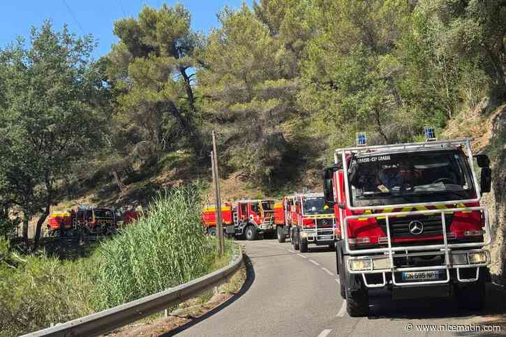 Mégot, feu d’artifice… Les pompiers s’interrogent sur l’origine du feu de forêt qui s’est déclaré entre Nice et Colomars samedi matin