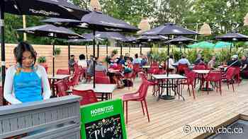 It's patio time. Take a tour of the best outdoor spots with Jasmine Mangalaseril