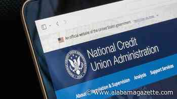 What is the difference between credit unions and traditional financial institutions?