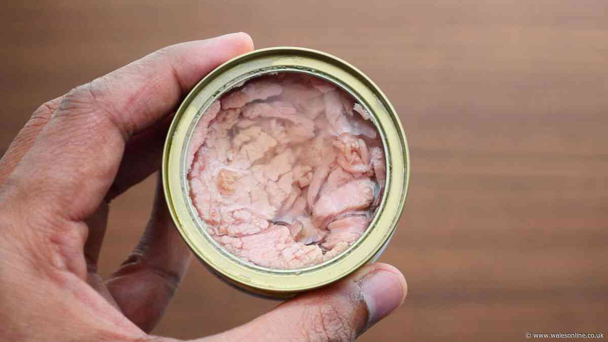 Everyone urged to stop pouring tinned tuna liquid down sink drains