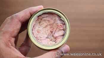 Everyone urged to stop pouring tinned tuna liquid down sink drains