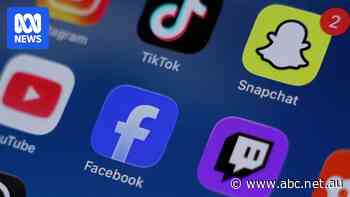 Labor unveils new powers to strengthen social media ban
