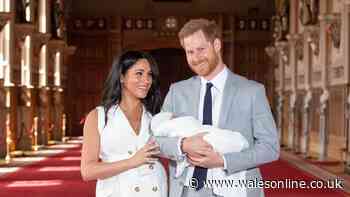 Prince Harry predicted to visit two surprise relatives during family trip to UK