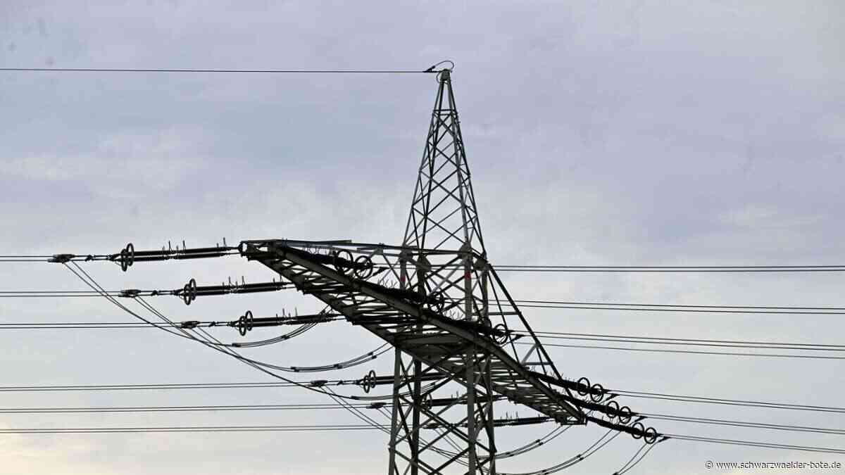Baden-Württemberg: 24.000 Menschen ohne Strom – was war der Grund?