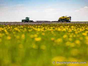 Opinion: Food security investments need to happen in Saskatchewan