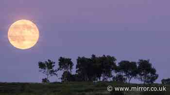 Strawberry Moon: Where to see it, what is it, and how it got its name