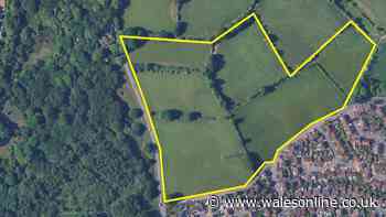 Decision on 300-home development at centre of eight-year battle due within weeks