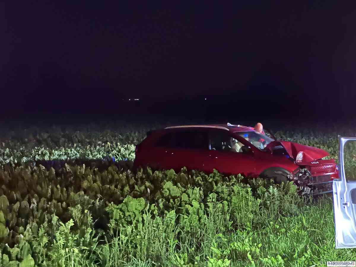 Automobilist tegen boom na schrikreactie overstekende haas