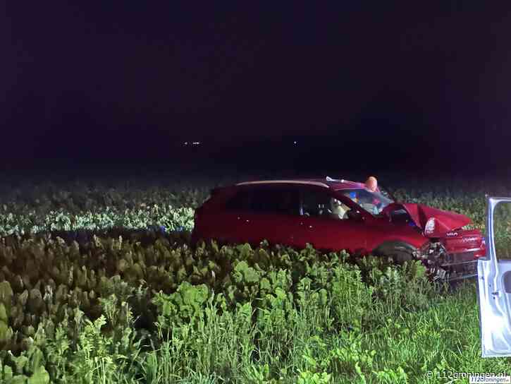 Automobilist tegen boom na schrikreactie overstekende haas