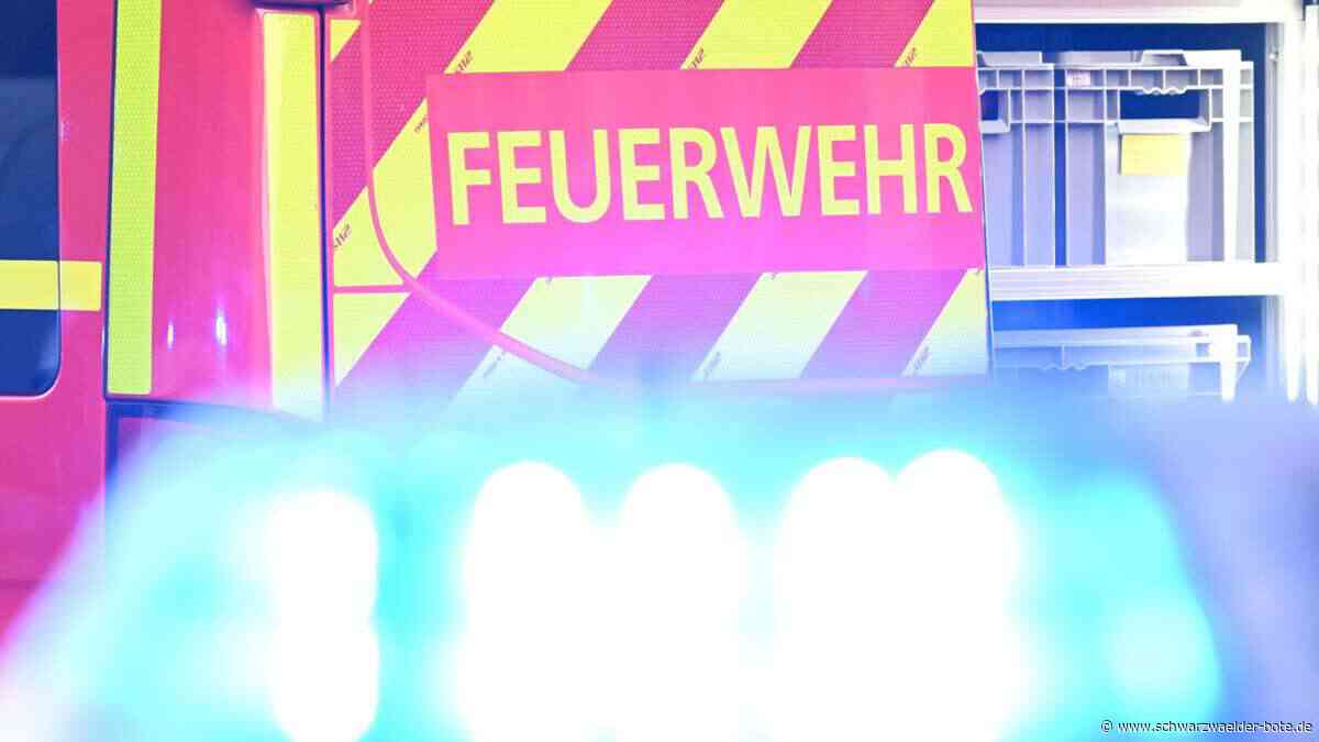 Baden-Württemberg: Korianderlager brennt komplett ab –  400.000 Euro Schaden