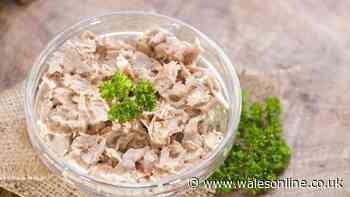 Tuna mayo sandwiches taste better if you make swap chefs love