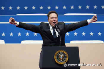 The Post-IPO Hangover: Can Elon Musk Ever Reclaim the Trillionaire Title After Widespread Tech Sell-Off?
