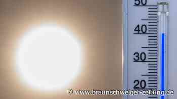 Hitze: 41 Grad und es wird noch heißer – neuer Rekordwert gemessen