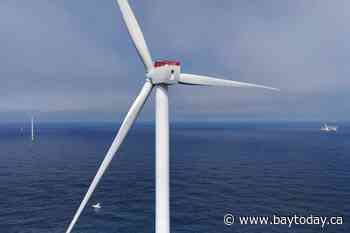 Canada's first offshore wind farms move closer to reality as regulator clears bidders