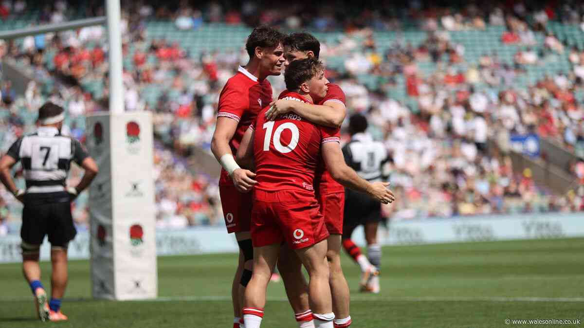 Wales beat Barbarians but learn very little on strangest of days