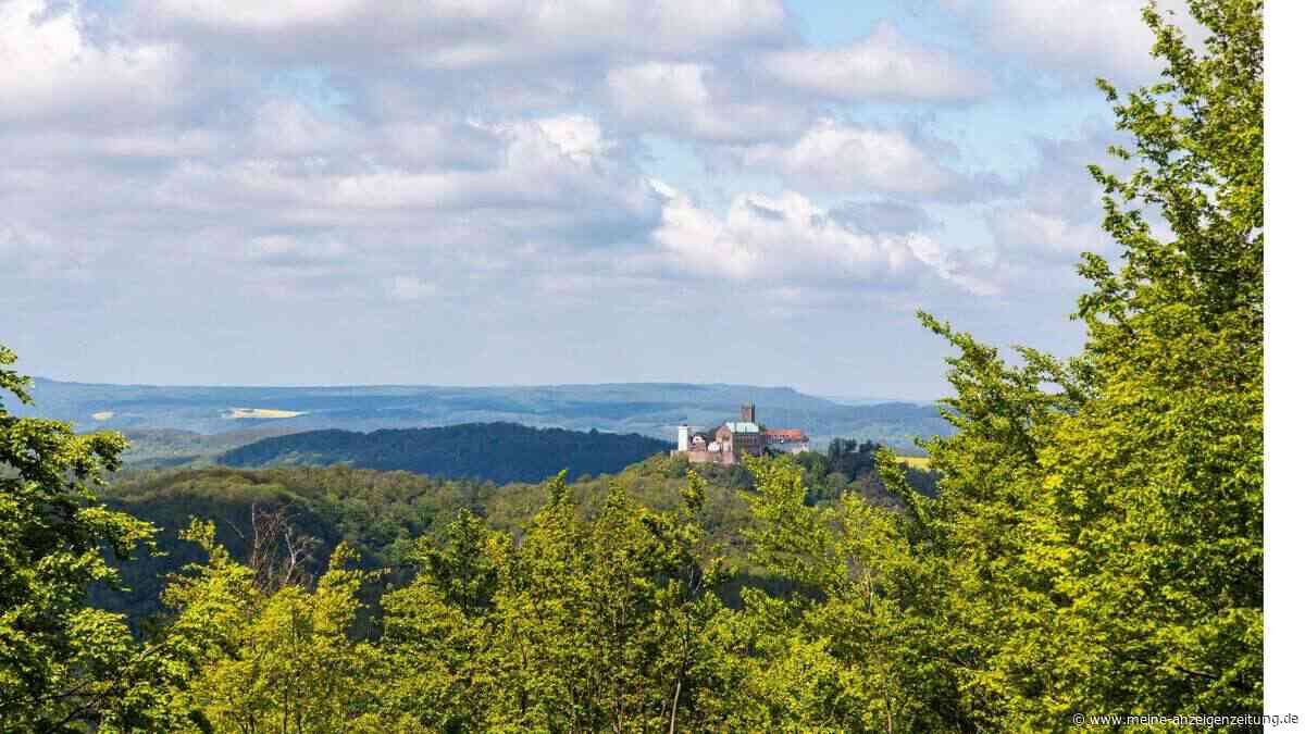 Dieser Wanderweg durch eine Schlucht fühlt sich an wie ein Fantasyfilm