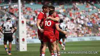 Wales beat Barbarians but learn very little on strangest of days