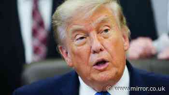 Vain Donald Trump releases new limited-edition passport with his own face and a warning
