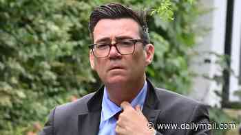 Andy Burnham 'could strike coalition deal with the Lib Dems to secure power at 2029 election'