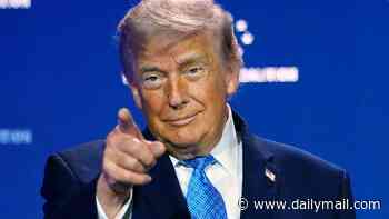 Trump slams 'milk toast' Fox News anchor Shannon Bream for committing one of the president's cardinal sins on air