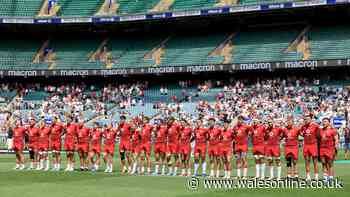 Wales player ratings v Barbarians as best performer surprises absolutely nobody