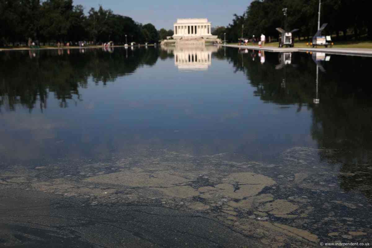 How the National Mall’s other reflecting pool has avoided the green algae that overwhelmed Trump’s renovations