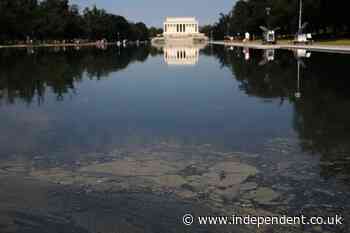 How the National Mall’s other reflecting pool has avoided the green algae that overwhelmed Trump’s renovations