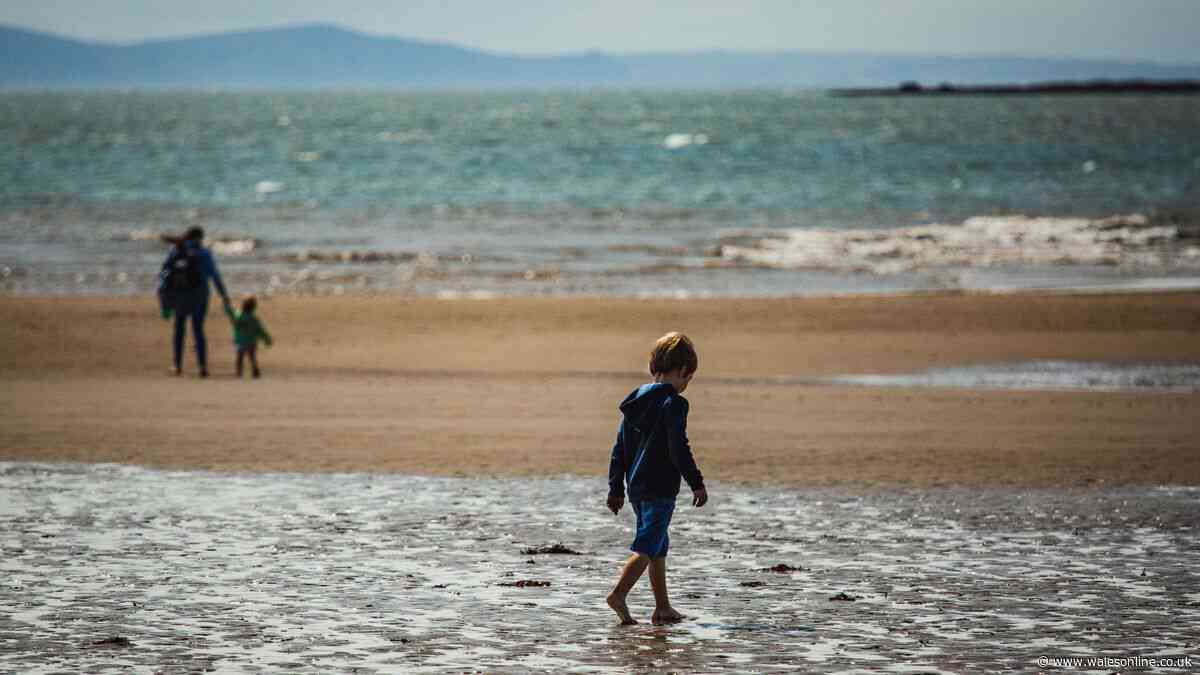 Problems at the two beaches with Wales' worst water quality investigated