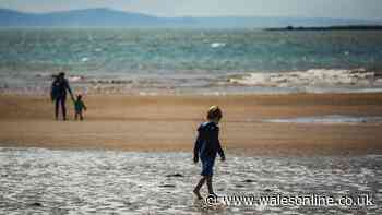 Problems at the two beaches with Wales' worst water quality investigated