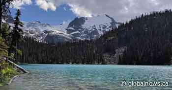 Lawyer says closure of Joffre Lakes Park potentially violates Canadian Charter