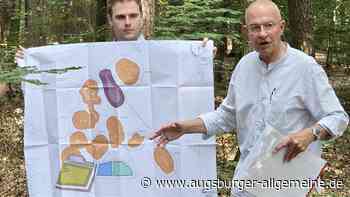 Kiesabbau im Wald bei Bergen: Warum 500.000 Kubikmeter für Streit sorgen könnten