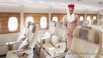 Emirates rolls out new economy feature that feels premium
