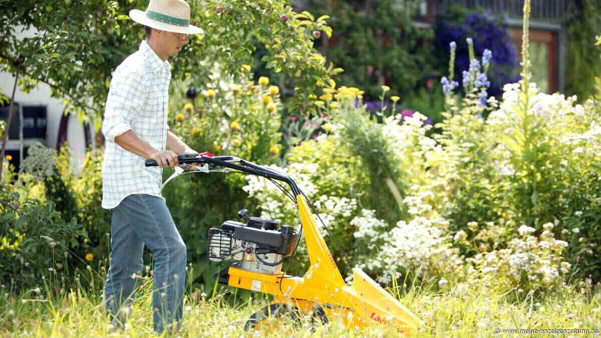 Der Rasen „verbrennt“? Der 3-Schritte-Pflege-Plan von Juli bis August