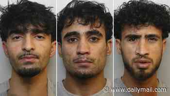 Afghans who groomed 17-year-old girl with vodka and cigarettes before gang-raping her then fleeing UK in back of a lorry are found guilty