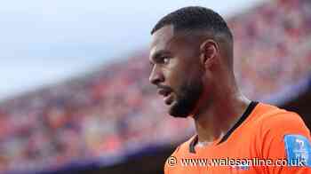 Liverpool star Cody Gakpo's baby boy dies as tragic announcement made