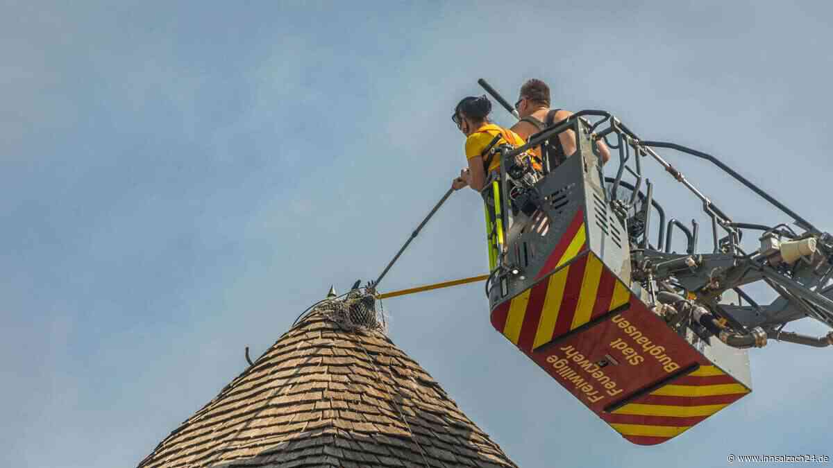 Falschparker blockieren Einsatzkräfte auf dem Weg zum Pulverturm – Waldrapp von Spitze geholt