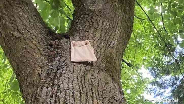 Zakjes in bomen en honden in het water: dit gebeurde vandaag