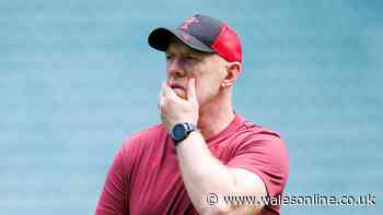 Wales to cut at least 11 players from squad days after Barbarians match
