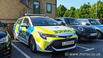 Major update after girl, two, found dead in home in Chertsey