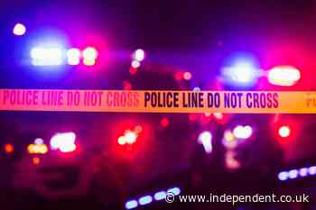 Teen went to hunt registered sex offenders in his neighborhood armed with BB gun, police say